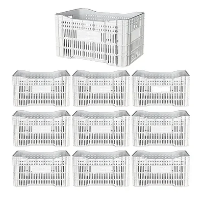 Caixa Plástica Agrícola Vazada - 20 KG 50 litros ( kit 10 un )- BRANCA