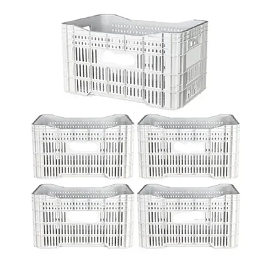 Caixa Plástica Agrícola Vazada - 20KG 50 litros ( kit 5 un ) - BRANCA